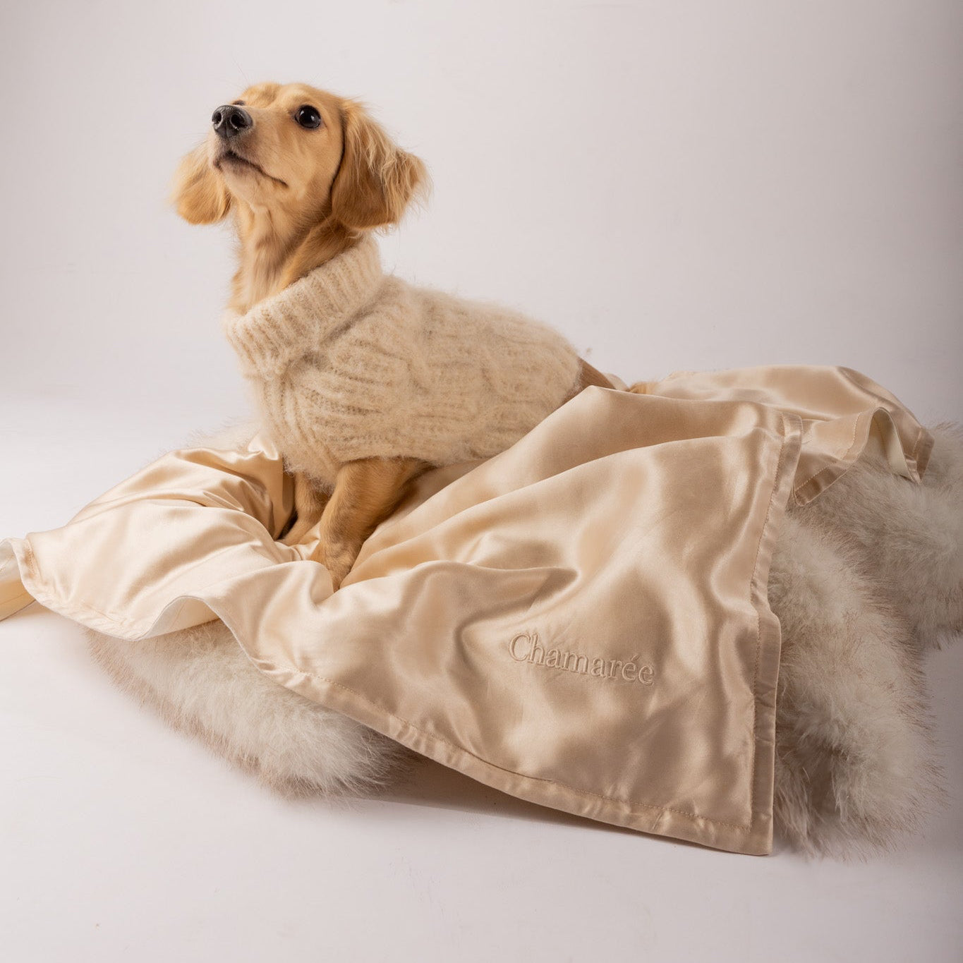 Taie Caresse en soie