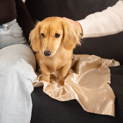 Taie Caresse en soie