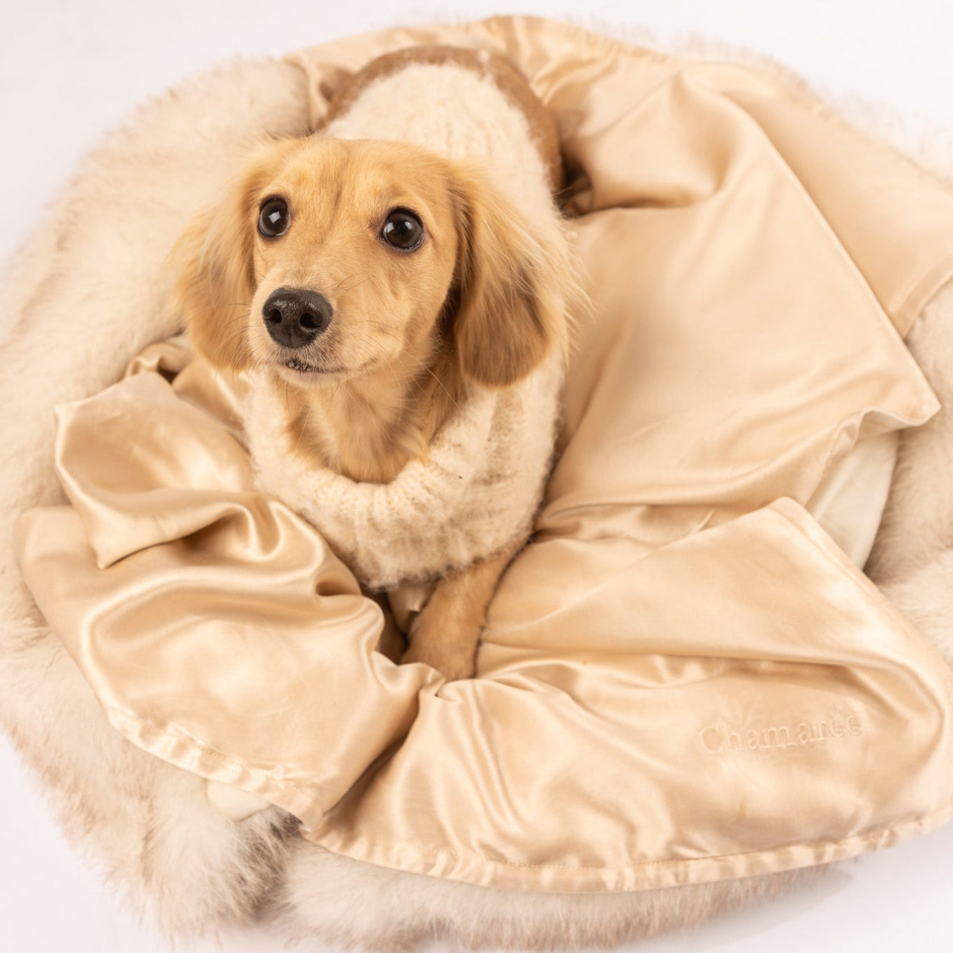 Taie Caresse en soie